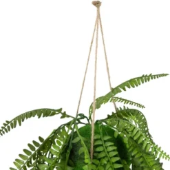Northlight 18" Artificial Fern Plant With Moss Ball And Hanging Jute Cord -Northlight Store GUEST 5d0831f1 7f72 48be 9ffc 9cee800662e5