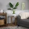 Northlight 35" Green Wide Leaf Monstera Artificial Potted Plant -Northlight Store GUEST 60e4fefc 9900 42b0 a579 5be641dcbdc8
