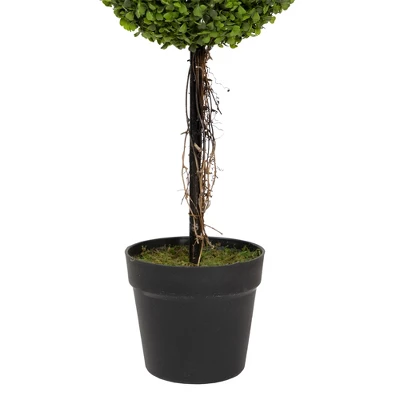 Northlight 4' Unlit Artificial Potted Two Tone Green Double Ball Boxwood Topiary Garden Tree 5 Northlight 4' Unlit Artificial Potted Two Tone Green Double Ball Boxwood Topiary Garden Tree - Image 3
