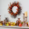 Northlight Leaves And Berries Artificial Fall Harvest Twig Wreath - 24 Inch, Unlit -Northlight Store GUEST 610d2ce2 4359 4bdb be18 98a3b31c3374
