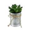 Northlight 5" Pachyveria Succulent Artificial Potted Plant - Green/Silver -Northlight Store GUEST 6336a826 3461 40a8 abb0 1cabf8660fc4