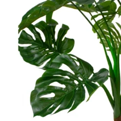 Northlight 5' Potted Wide Leaf Green Monstera Artificial Floor Plant -Northlight Store GUEST 6399a964 7a1a 4951 bd56 5ad41a0a2b6c
