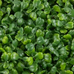 Northlight 19" Two Tone Green Artificial Boxwood Topiary Ball 8 Northlight 19" Two Tone Green Artificial Boxwood Topiary Ball -Northlight Store GUEST 6484c81b 15c0 4f8d 8c9c 76ad76a5f56f