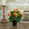 Northlight 11" Coral Pink Potted Silk Begonia Spring Artificial Floral Arrangement 1 Northlight 11" Coral Pink Potted Silk Begonia Spring Artificial Floral Arrangement -Northlight Store GUEST 67e7ebca f30f 49fd 9562 98fa57c6b665