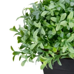 Northlight 7.5" Potted Green Artificial Boxwood Plant 8 Northlight 7.5" Potted Green Artificial Boxwood Plant -Northlight Store GUEST 684a4e13 adb8 4422 ae75 f862851a74ea