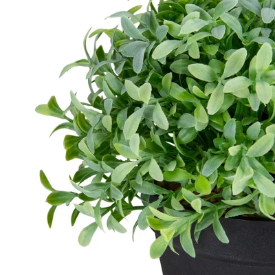 Northlight 7.5" Potted Green Artificial Boxwood Plant 5 Northlight 7.5" Potted Green Artificial Boxwood Plant - Image 3