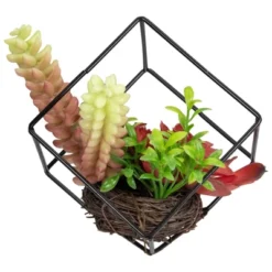 Northlight 5.5" Artificial Succulent Arrangement In Black Metal Wire Frame -Northlight Store GUEST 68e0c154 15db 4cca 9a11 5dc80a312120