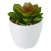 Northlight 4" Mini White Potted Artificial Succulent Plant -Northlight Store GUEST 6b157879 4892 40ae 8526 64666ff95c06