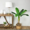Northlight 4' Artificial Tropical Banana Tree In A Clay Pot 1 Northlight 4' Artificial Tropical Banana Tree In A Clay Pot -Northlight Store GUEST 6b801b94 2295 40ca bc99 6ebe078ccfdc