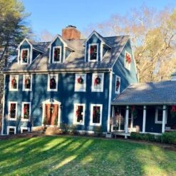 Northlight 24" Unlit Canadian Pine Artificial Christmas Wreath -Northlight Store GUEST 6cca1dfc a278 43b6 ab26 36d525bf9ff4