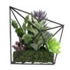 Northlight 6.75" Succulent Artificial Arrangement In Black Wire Terrarium - Green/Black -Northlight Store GUEST 6cda58aa 4b4c 4ac0 89ba 5c14beb9b280