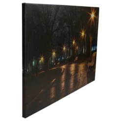 Northlight LED Lighted Nighttime City Park Scene Canvas Wall Art 23.75" -Northlight Store GUEST 6cf1b765 1f6a 4971 b7e3 0dace5ec683e