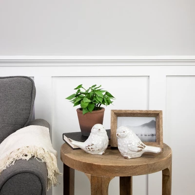 Northlight Real Touch™ Artificial Peperomia Watermelon Begonia Plant In Terracotta Style Pot - 7" 3 Northlight Real Touch™ Artificial Peperomia Watermelon Begonia Plant In Terracotta Style Pot - 7"