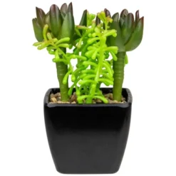 Northlight 6" Potted Green Artificial Succulent Arrangement -Northlight Store GUEST 7047a777 7b19 417f 8e92 9b4b2a6a2f3a