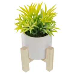 Northlight 8" Potted Green Artificial Succulent With Wooden Stand -Northlight Store GUEST 70f11cfc 0f54 44ec 9fb3 925213a2a4ad