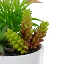 Northlight 9" Artificial Succulent Arrangement In White Ceramic Pot -Northlight Store GUEST 72f03bfb 761e 465a 809e e30dbb9e32ee