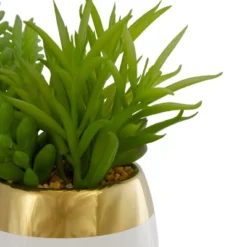Northlight 6.5" Potted Mixed Artificial Succulent Arrangement -Northlight Store GUEST 73b2c1c8 dbbb 4870 963b 22d6a22f5291