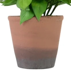 Northlight Real Touch™ Artificial Peperomia Watermelon Begonia Plant In Terracotta Style Pot - 7" 11 Northlight Real Touch™ Artificial Peperomia Watermelon Begonia Plant In Terracotta Style Pot - 7" -Northlight Store GUEST 77ea09ec e45a 40aa abd9 3879e08d5894