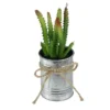 Northlight 7" Ombre Cactus Artificial Potted Plant - Green/Silver -Northlight Store GUEST 787799fe 3677 4786 bbde 4ea548308143