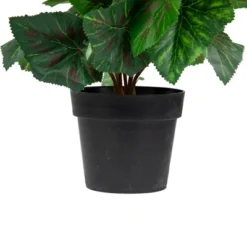 Northlight 11" Cream Potted Silk Begonia Spring Artificial Floral Arrangement -Northlight Store GUEST 7931266b d73f 4bb9 837c bdbb6c5500f0