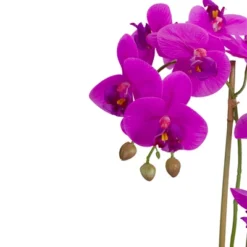 Northlight 14" Purple Artificial Orchid Plant With A Gray Stone Pot -Northlight Store GUEST 7b10d242 0e5a 4f3e 8063 8677def242a1