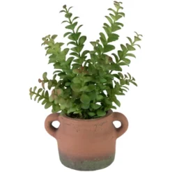 Northlight Real Touch™ Artificial Privet Plant In Vintage Milk Can Style Earthenware Pot - 14" -Northlight Store GUEST 7bb5343f 410d 43a4 a6ac 409a8d669a88