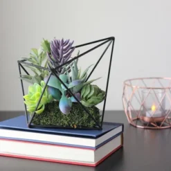 Northlight 6.75" Succulent Artificial Arrangement In Black Wire Terrarium - Green/Black -Northlight Store GUEST 7bdc1a4f 441b 4904 b57c e601a0a7560e