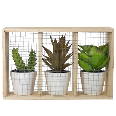 Northlight 10.75" Artificial Mixed Potted Succulents In Wooden Box 5 Northlight 10.75" Artificial Mixed Potted Succulents In Wooden Box - Image 3