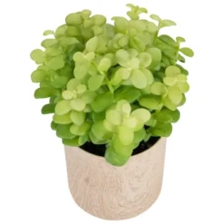 Northlight 10" Green Artificial Privet Plant In Faux Wood Pot -Northlight Store GUEST 826077f3 7e52 4950 9200 f6f80579cc86