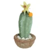 Northlight 12" Flowering Cactus Artificial Potted Plant - Green/Brown 1 Northlight 12" Flowering Cactus Artificial Potted Plant - Green/Brown -Northlight Store GUEST 83552da9 13e4 4423 bb29 1f0d4fd08051