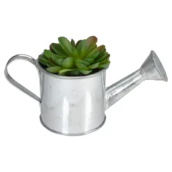 Northlight 4" Echeveria Succulent In Watering Can Artificial Potted Plant - Green/Silver -Northlight Store GUEST 84ee6075 f46d 4995 84a2 a3986f4fc741