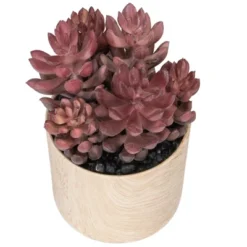 Northlight 7" Purple Artificial Succulent In Faux Wood Pot 9 Northlight 7" Purple Artificial Succulent In Faux Wood Pot -Northlight Store GUEST 863e8c39 c835 430c aad8 c969438903e0