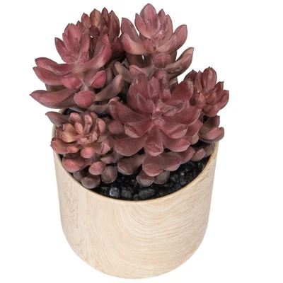 Northlight 7" Purple Artificial Succulent In Faux Wood Pot 6 Northlight 7" Purple Artificial Succulent In Faux Wood Pot - Image 4