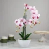 Northlight 21" Pink And White Artificial Orchid Plant In A White Pot -Northlight Store GUEST 88afb9df 9edb 4077 b501 de2f079e33e2