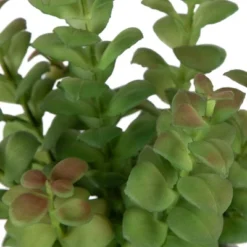 Northlight 12" Artificial Privet Plant In Gray Stone Pot -Northlight Store GUEST 88d9a2db 3f5f 4fd3 973c 08102eb56b2a