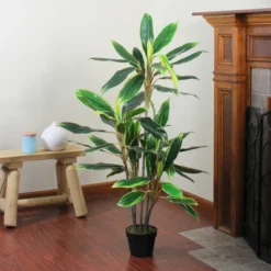 Northlight 55" Green And Red Potted Two Tone Dracaena Artificial Plant -Northlight Store GUEST 8ddbc5c3 c53f 4390 8576 013fb2f60ca5