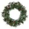 Northlight Snow Valley Pine Artificial Christmas Wreath, 24-Inch, Unlit 2 Northlight Snow Valley Pine Artificial Christmas Wreath, 24-Inch, Unlit -Northlight Store GUEST 8e101367 a27f 41dc ac02 8eb62ccf1ece