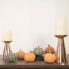 Northlight Set Of 6 Boxed Orange And Green Pumpkin Thanksgiving Decorations -Northlight Store GUEST 8ffc2bcf d939 4393 b55a 31a9da2da5a6