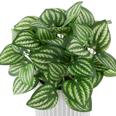 Northlight 6.5" Artificial Watermelon Peperomia Plant In White Pot 5 Northlight 6.5" Artificial Watermelon Peperomia Plant In White Pot - Image 3