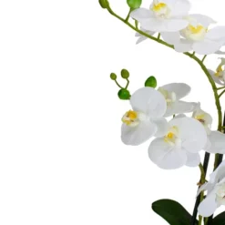 Northlight 22" Artificial White And Yellow Orchid Plant With A White Oval Pot Tabletop Decor -Northlight Store GUEST 91c98237 c7ff 4863 96b9 dee3d7b3f16f