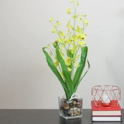 Northlight 23.5" Dancing Lady Orchid Silk Flower Artificial Potted Plant - Yellow -Northlight Store GUEST 91e90801 4077 468c 9bf3 94a9d6be8311
