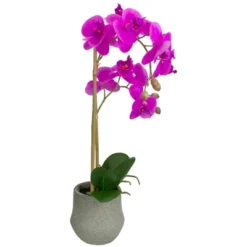 Northlight 14" Purple Artificial Orchid Plant With A Gray Stone Pot -Northlight Store GUEST 91feb411 97d3 4578 bafa 49fae4c0d5df