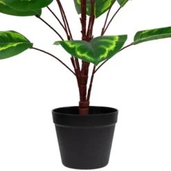 Northlight 30" Two-Tone Green Calathea Artificial Potted Plant -Northlight Store GUEST 926c632f 5960 4dd4 a573 6ff8c01ef3bd