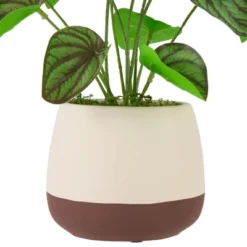 Northlight 10.25" Artificial Peperomia Plant In Two-Tone Ceramic Pot 9 Northlight 10.25" Artificial Peperomia Plant In Two-Tone Ceramic Pot -Northlight Store GUEST 9717fb24 19da 4293 a814 8ab59c4b7a8b