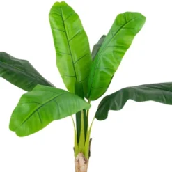 Northlight 4' Artificial Tropical Banana Tree In A Clay Pot -Northlight Store GUEST 9d133ffc e298 4e6d a3a3 c27e60a68936
