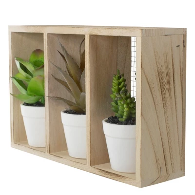 Northlight 10.75" Artificial Mixed Potted Succulents In Wooden Box 6 Northlight 10.75" Artificial Mixed Potted Succulents In Wooden Box - Image 4