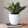 Northlight 13" Agave Artificial Potted Plant - Green 1 Northlight 13" Agave Artificial Potted Plant - Green -Northlight Store GUEST 9f89dcef 597d 4600 a6f4 1184ba7f4837