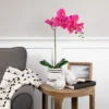 Northlight Real Touch™ Pink Artificial Spring Orchids In A Striped Ceramic Pot 2" 1 Northlight Real Touch™ Pink Artificial Spring Orchids In A Striped Ceramic Pot 2" -Northlight Store GUEST 9fb5159e 70aa 466f 827d 37ee0c809837