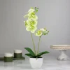 Northlight 14" Ivory, Green, And White Artificial Orchid Potted Plant Tabletop Decor -Northlight Store GUEST a2a7d563 47f0 4fe3 b91f d1e3f0746a33