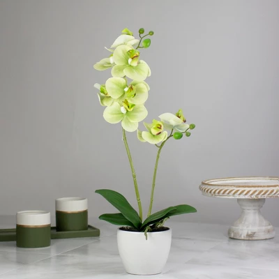 Northlight 14" Ivory, Green, And White Artificial Orchid Potted Plant Tabletop Decor 3 Northlight 14" Ivory, Green, And White Artificial Orchid Potted Plant Tabletop Decor